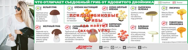 хмурый Алексеевка