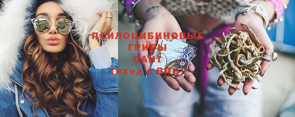 хмурый Алексеевка